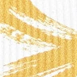 Vitamin A California High Leg - Image 4