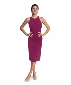 Dress The Population Emme Dress