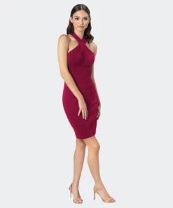 Dress The Population Ryan Dress - Dark Magenta