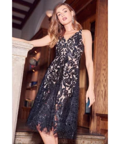 Dress The Population Blair Dress