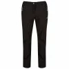 Regatta Great Outdoors Womens/Ladies Geo Softshell II Regular Leg Trousers (Black)