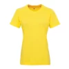 TriDri Tri Dri Womens/Ladies Panelled Crew Neck T-Shirt (Sun Yellow)